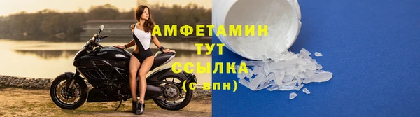 spice Аркадак