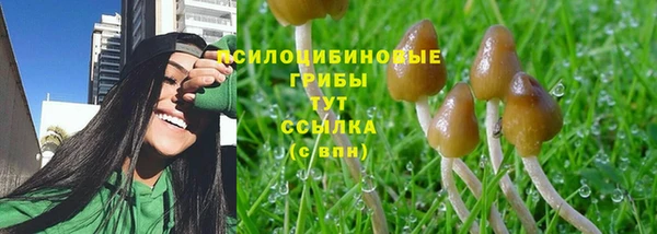 МДПВ Армянск
