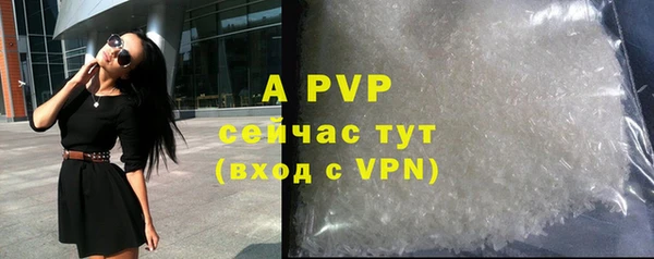 spice Аркадак